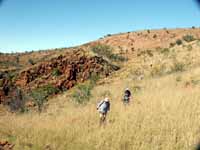Walking above Lennard Gorge