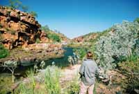 Manning Gorge below falls, 2003