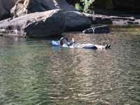 Manning Gorge float close up