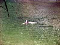 Swim stop, Upper Isdell, 2003