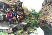 Bushwalking (hiking/tramping) in Kakadu