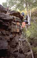 Climbing up