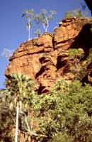 Typical Gregory Gorge scenery