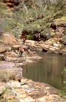Walking in one of the Stokes Range gorges