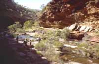 In the gorge