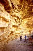 Gregory rock shelter
