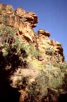 Rocky outcrop and palms
