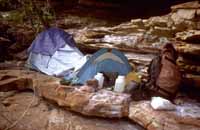 Roger's tent