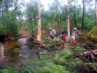 On the Gubarra track