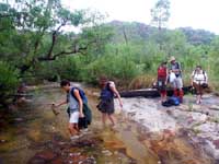 Baroalba -- crossing a side creek
