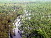 Kakadu floodplain from the air