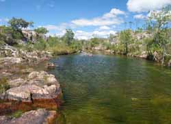 Upper Gronophylum Creek