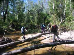 Bridge over shallow waters