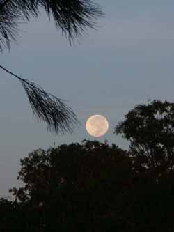 Moonrise