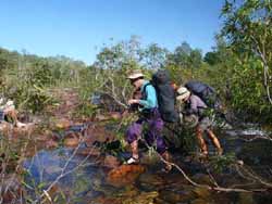 Crossing Jim Jim Creek