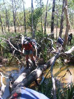 Crossing a small creek