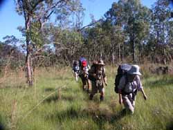 Walking through relatively short grass