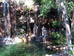 Bush shower