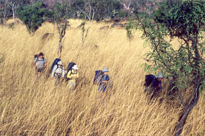 Walking through the grass, mid morning