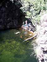 Swimming in small creek