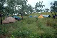 Camp Quagmire