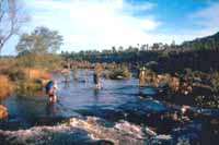 Wading a creek