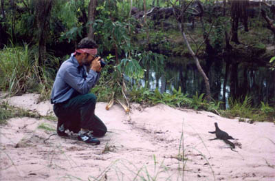 Photographing a goanna