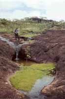 Lower Motorcar tributary