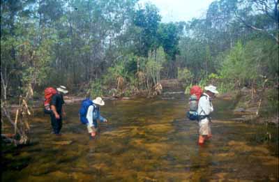 Crossing Koolpin Creek, photo R Willis