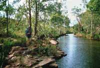Walking next to Kurrundie Creek