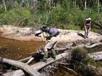 Keeping feet dry crossing the creek