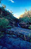Small cascades on Motorcar Creek