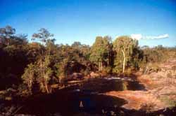 17 Mile Creek above the falls