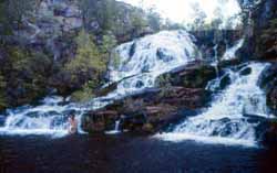 Biddlecombe Cascades