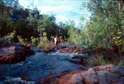 Creek cossing near Crystal
