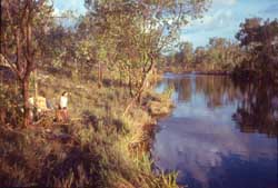 Edith River above Long Pool