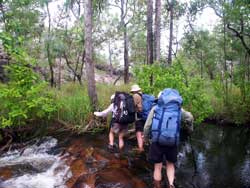 Wading Biddlecombe Creek