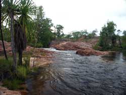 Edith River at camp, late afternoon