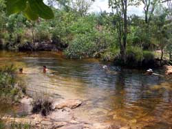 Edith River swim at crossing