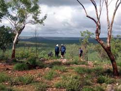 On the edge of the escarpment