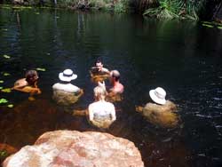 Having a swim, unnamed creek