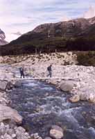 Bridge on the track to Lago de los Tres