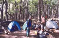 Campsite below Fitzroy