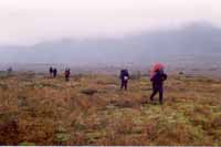 Walking through the fog and drizzle
