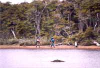 Walking along Lake Windhond