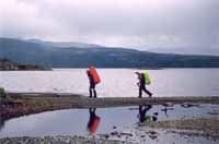 Walking by Lake Windhond