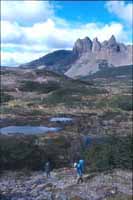 Bushwalking on Navarino Island, South of Tierra del Fuego