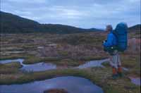 Crossing the tundra on Navarino Island