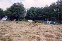 Puyuehue, first camp