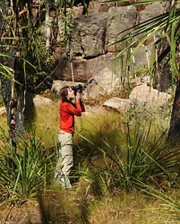 Photographing a pandanus fruit, P Benjafield